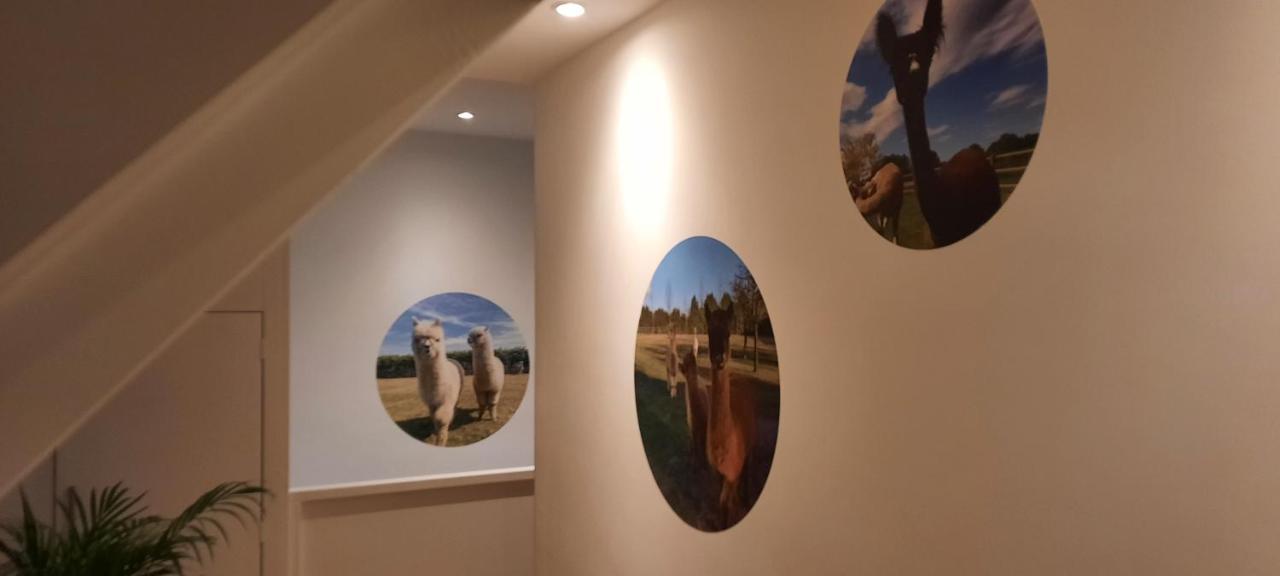 Zundert B&B De Raamberg מראה חיצוני תמונה