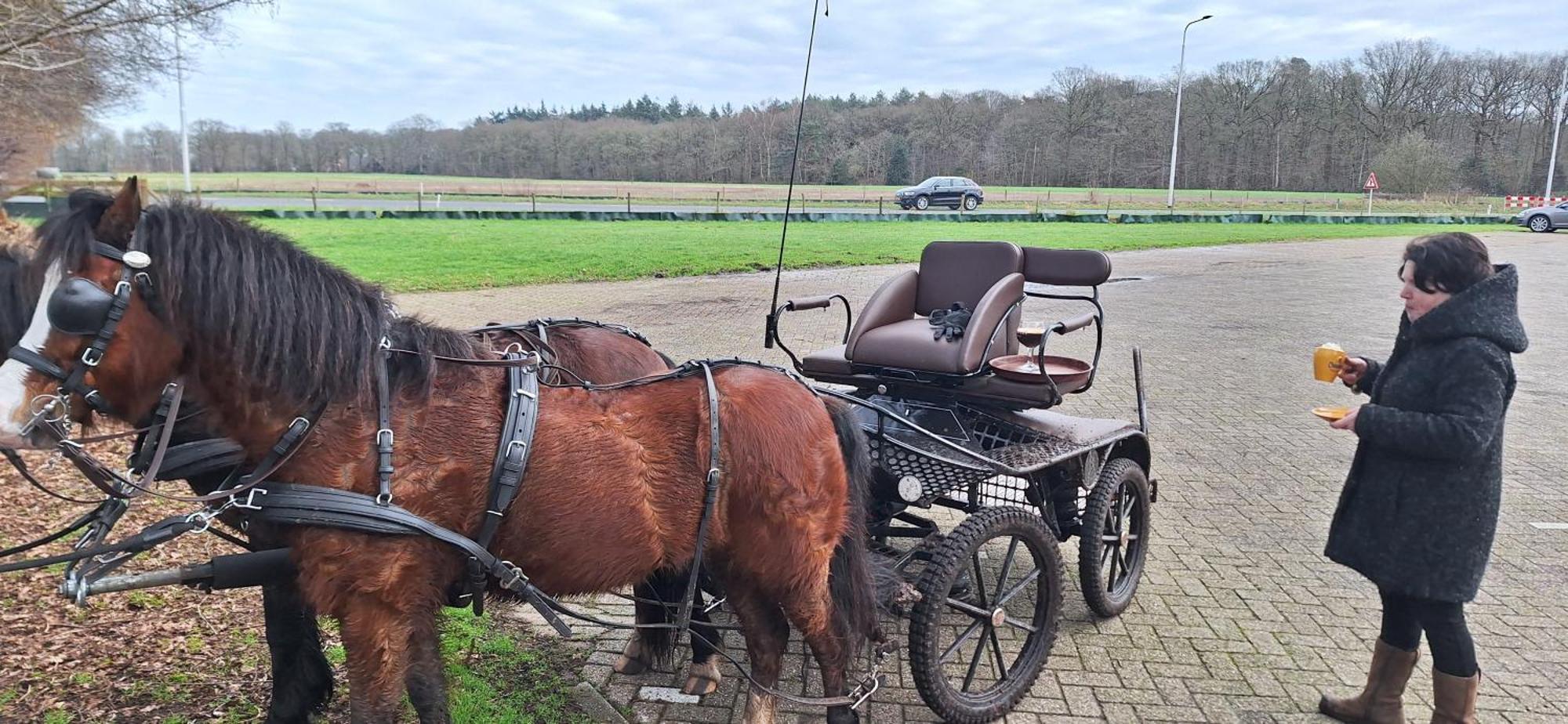 Zundert B&B De Raamberg מראה חיצוני תמונה